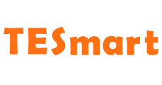 TESmart